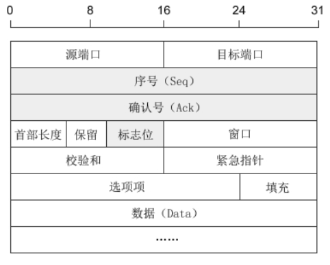 TCP数据报