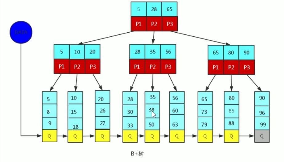 B+Tree